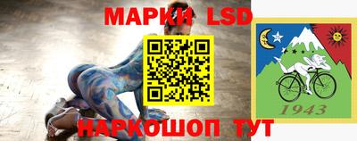 шишки Славгород