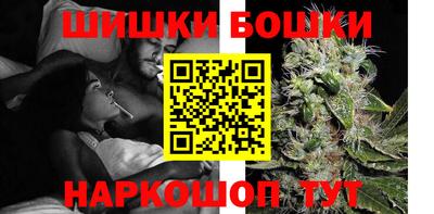 шишки Славгород