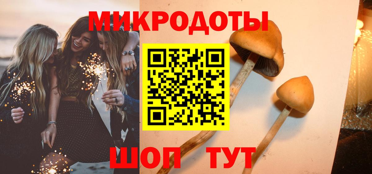 Псилоцибиновые грибы Psilocybe  Вход с VPN  Мыски 
